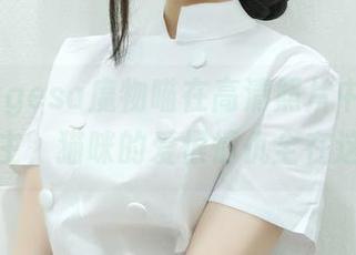 看，nagesa魔物喵在高清照片中化身白雪公主，猫咪的爱恨情仇全在这里！